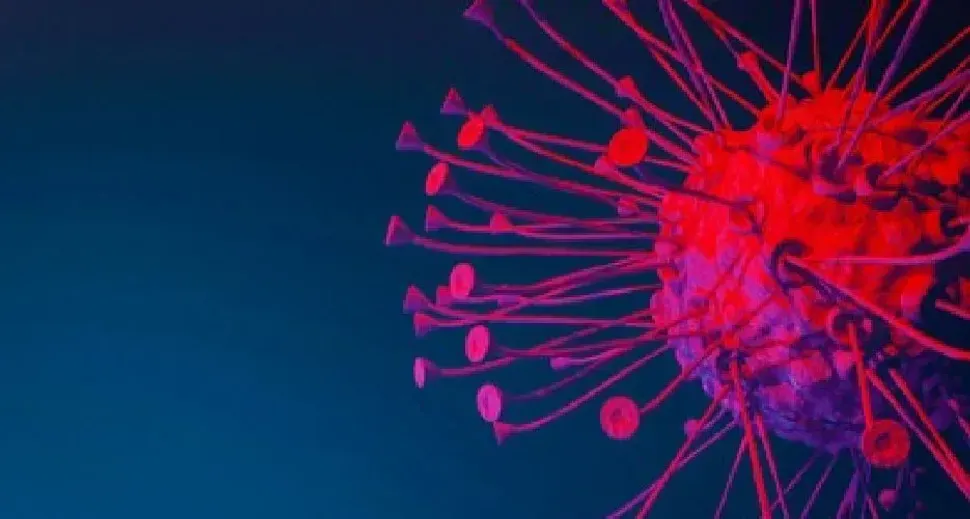 New Kids on the Block: Kite and Arcellx Partner on Myeloma CAR T image
