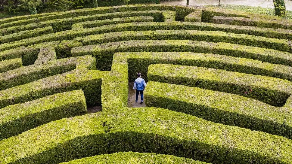 Why is Multiple Myeloma So Complicated? image