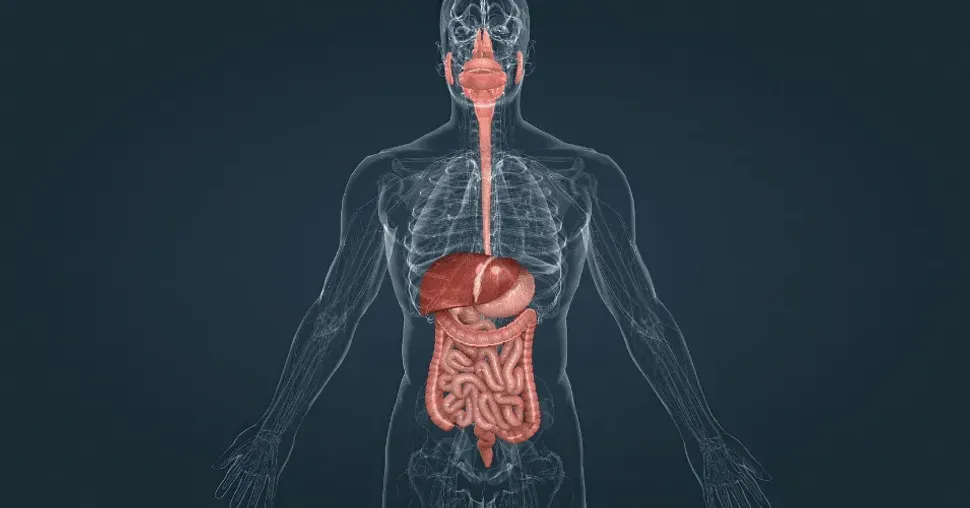 Transplant Recipients, Stay on Top of Your GI Screenings image
