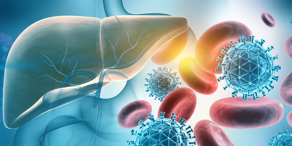 Hepatitis Treatment as a Possible Therapy for Myeloma Patients? image