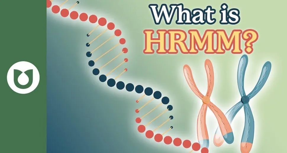 Types of Myeloma: High-Risk, Bi-Clonal, CNS, & Macro Focal image