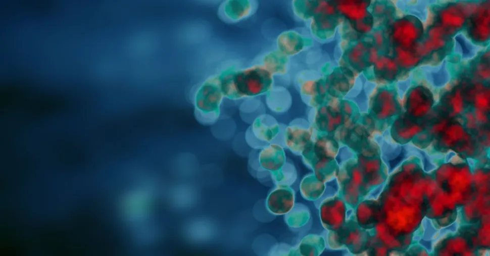 ¿Cómo actúan los inmunomoduladores en el mieloma múltiple? image