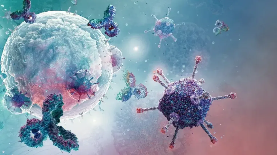 Accelerating Immunotherapy Research in Multiple Myeloma image