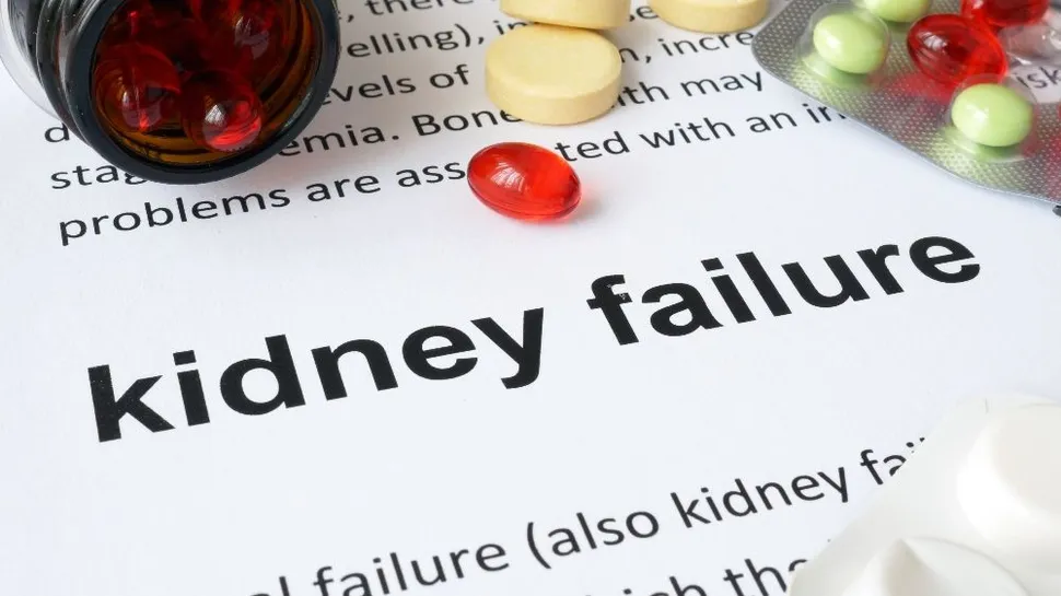 IMS 2023: Kidney Failure Solutions for Multiple Myeloma Patients image