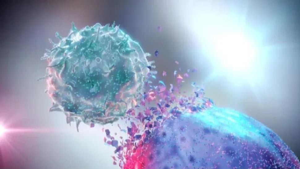 What are Natural Killer Cells? image