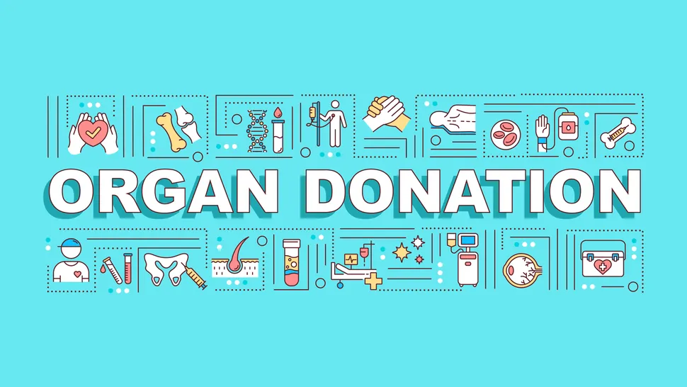 What does Biden's overhaul of the Organ Transplant System mean for kidney patients? image