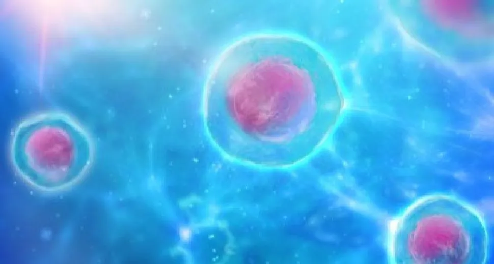 What is Plasma Cell Enrichment and How Does it Help Obtain Better Test Results in Multiple Myeloma? image