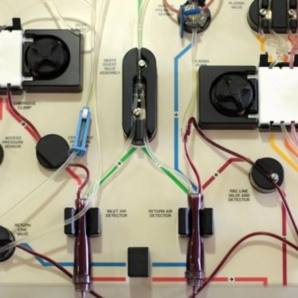 Recursos Útiles Para Pacientes con Mieloma Múltiple Que Están Considerando un Trasplante de Células Madre image
