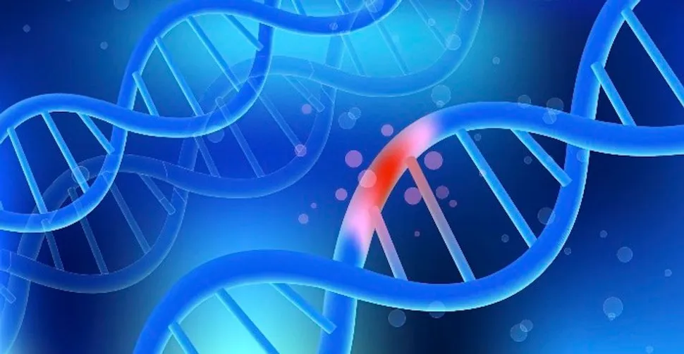 CLL Patient Tests - DNA Sequencing to Find Gene Mutations image