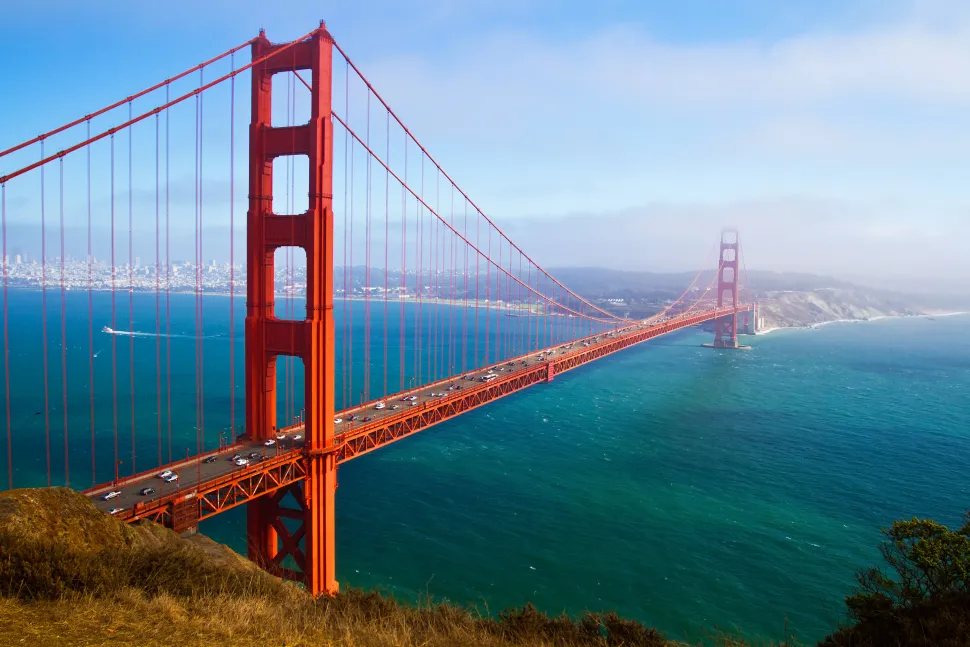Register for the Bay Area Myeloma RoundTable on March 9th image