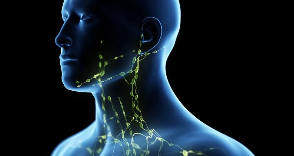Tests for CLL Patients: Lymph Node Biopsy image