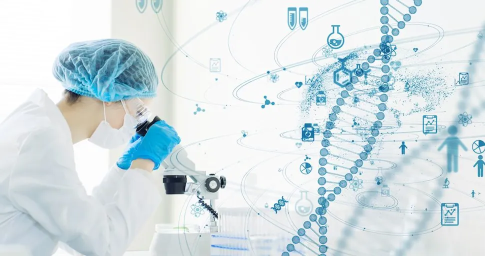 New CLL Discovery: Small Molecule FL3 Effect on CLL Cells image