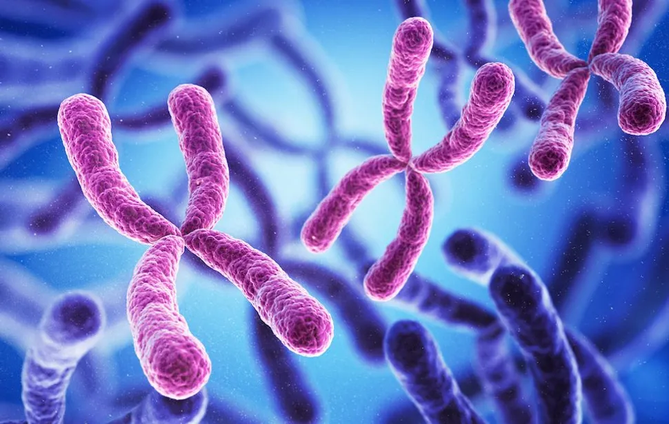 What Makes it CLL? Looking at Chromosome Deletions image