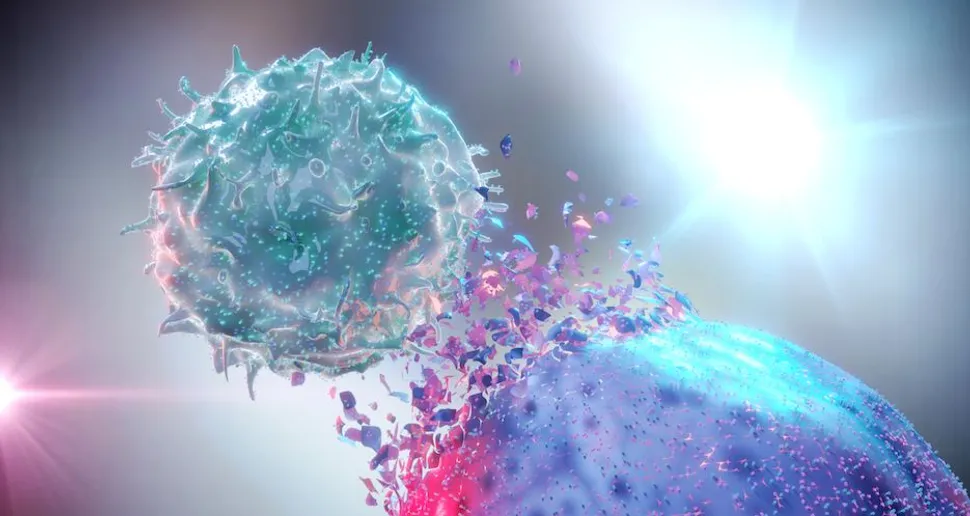 Why Have My Natural Killer Cells Stopped Killing CLL Cells? image