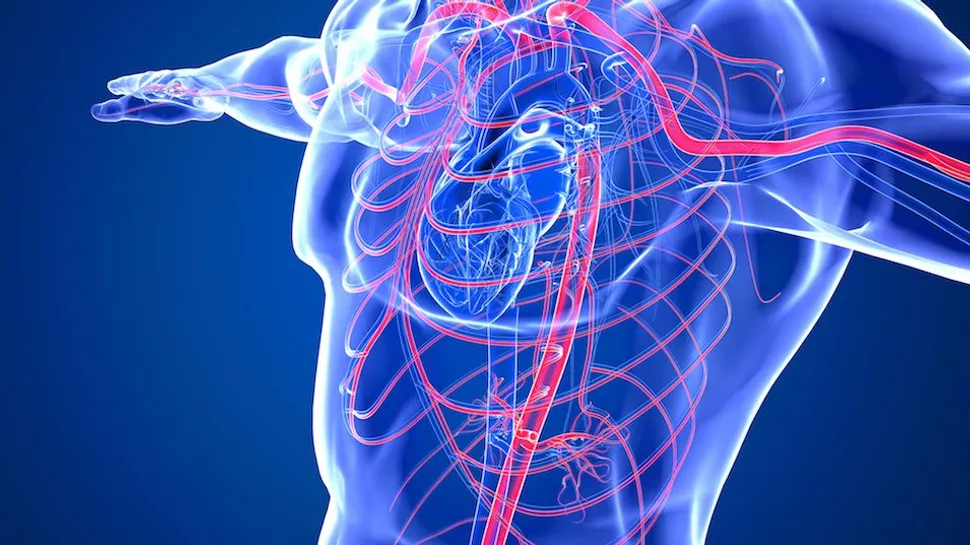 What's the Difference Between CLL and SLL? image
