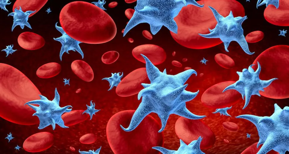 Managing Low Platelet Levels in Blood Cancers image