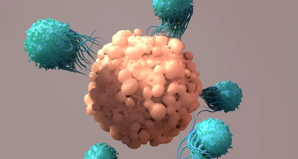 ASCO 2024: How Effective is Liso-cel for Richter Transformation? image