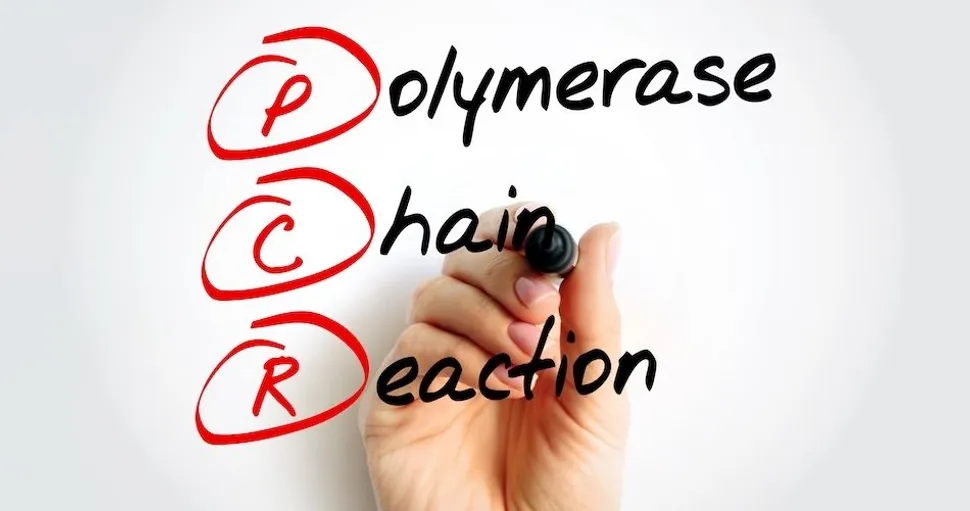 Tests for CLL Patients: Polymerase Chain Reaction (PCR) image