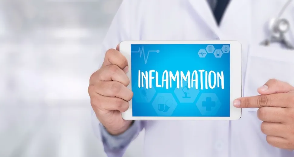 How Does Inflammation Influence CLL? image