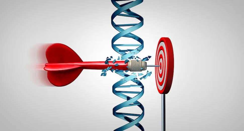 Innovation of CLL Treatments: Modern Targeted Therapies image