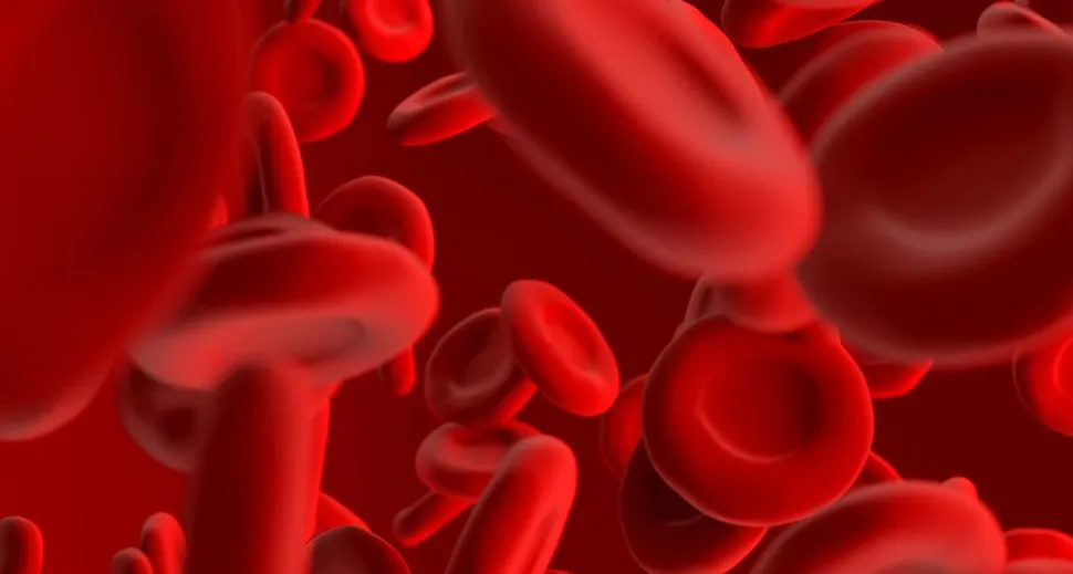 EHA 2024: How Effective is Elritercept for Low-Risk MDS Patients? image