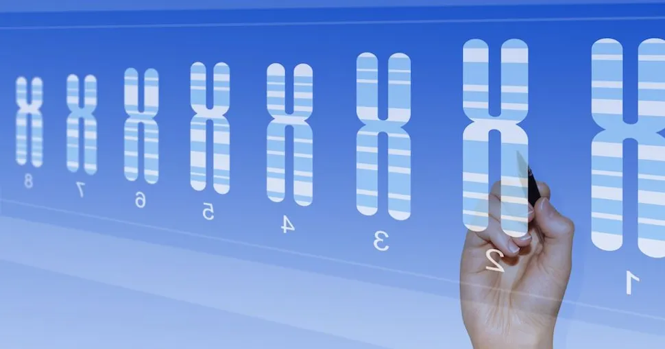 Tests for CLL Patients: CpG-Stimulated Karyotype image