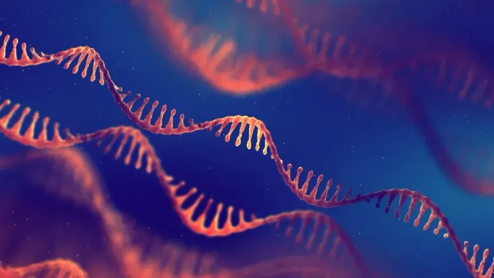 Single Cell Sequencing in Myeloma image