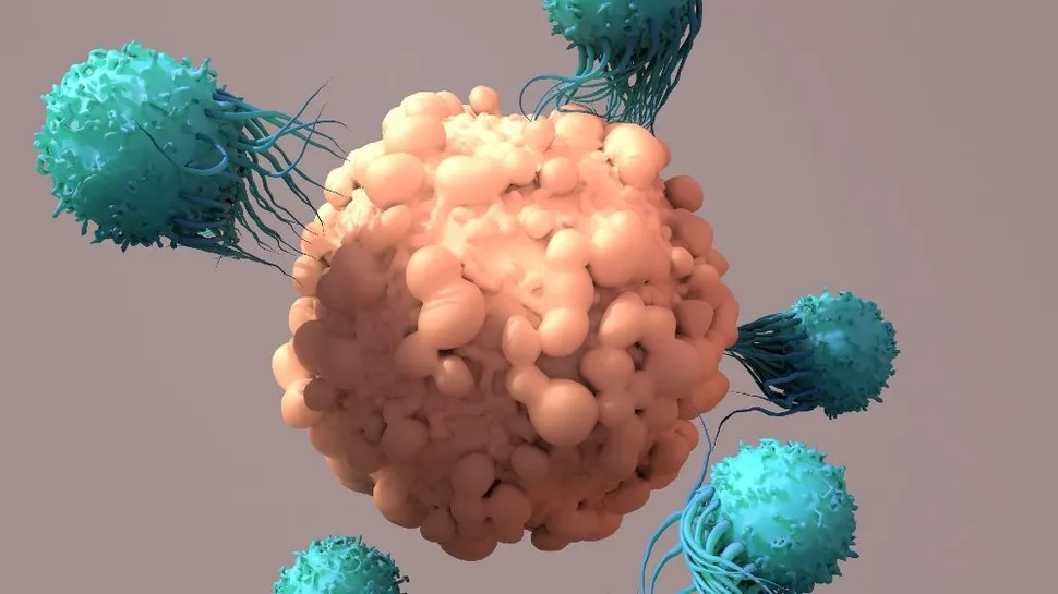 A New Immunotherapy for Myeloma Treatment: STAb T cells image