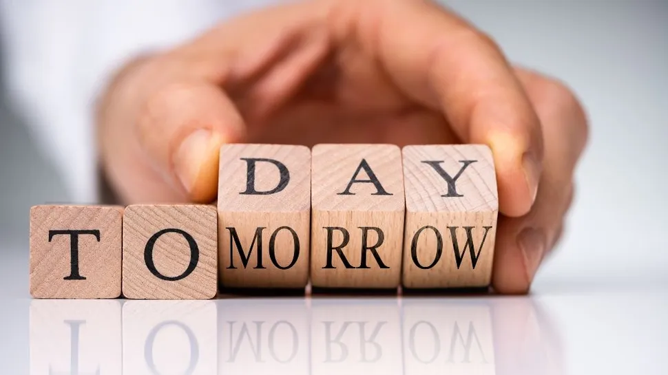 Transplant: Understanding Its Role in Myeloma Today and Tomorrow image