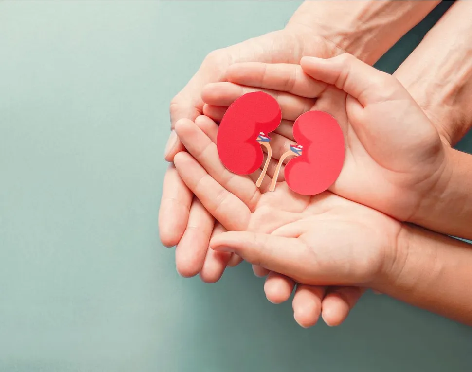 How is Kidney Disease Diagnosed in Multiple Myeloma? image