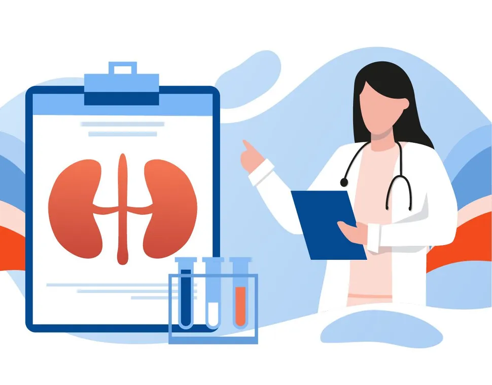 How Does Multiple Myeloma Affect the Kidneys? image