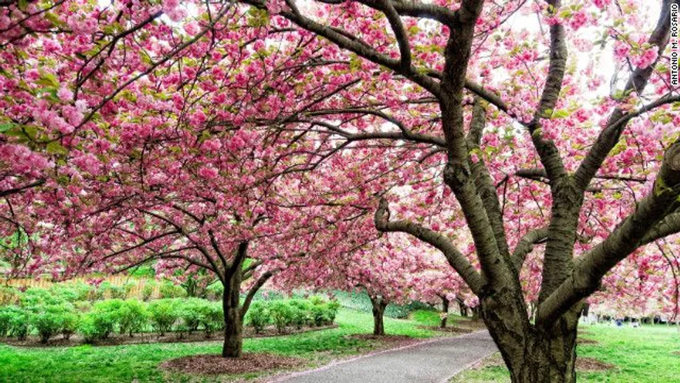 Why Patient Advocates Are Important to the Myeloma Community image