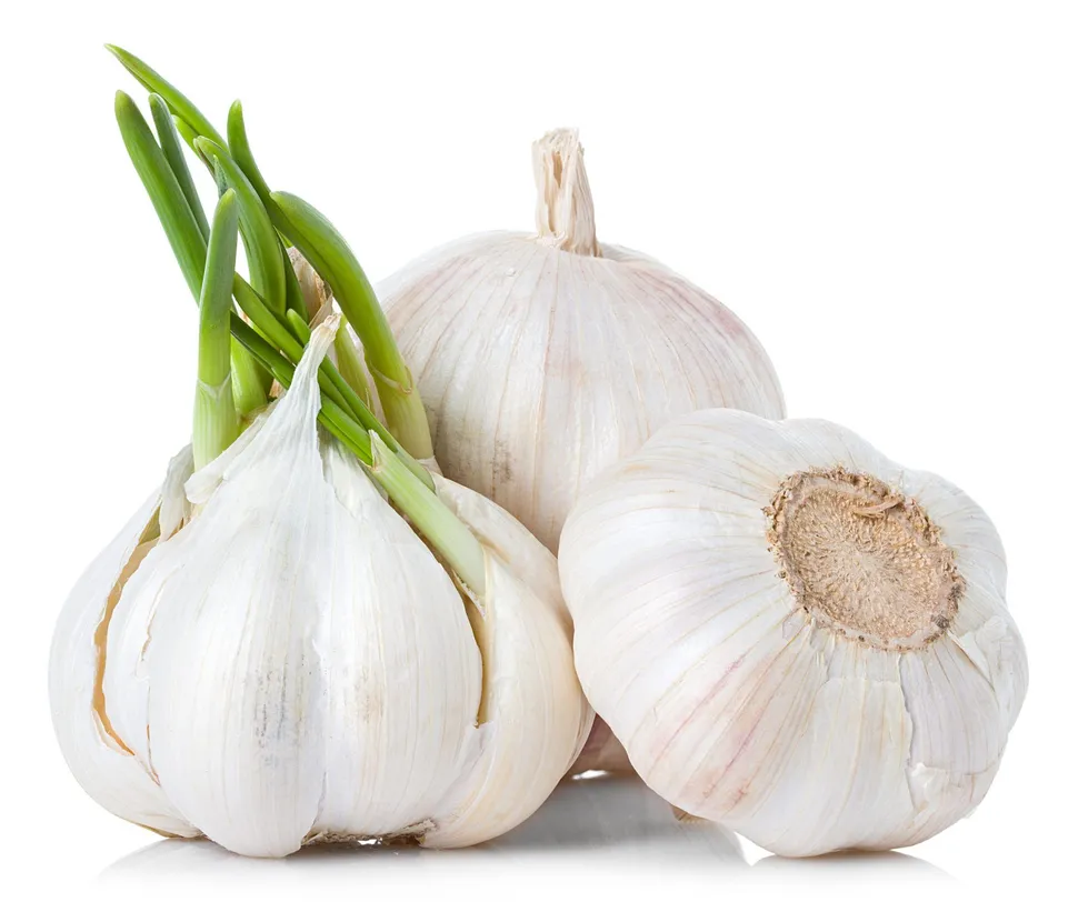 The Powerful Anti-Cancer Benefits Of Garlic image