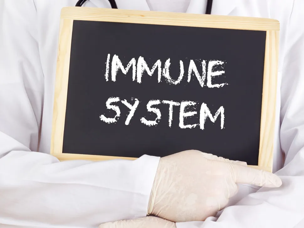 New strategies to Use the Immune System to Attack Myeloma image