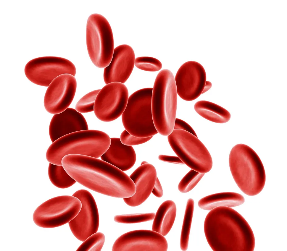 Hematologist Dr. San Miguel Envisions Big Changes In Myeloma Treatment Paradigms image