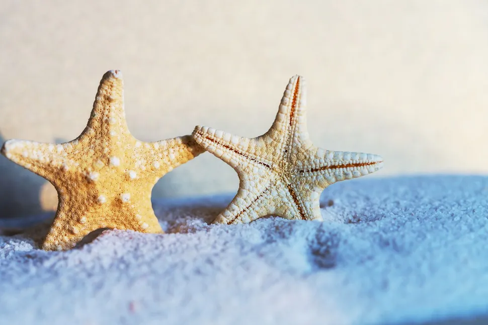 Multiple Myeloma Awareness, Education, and Funding - The Keys To Improved Survival Rates, Good New Bad News? image