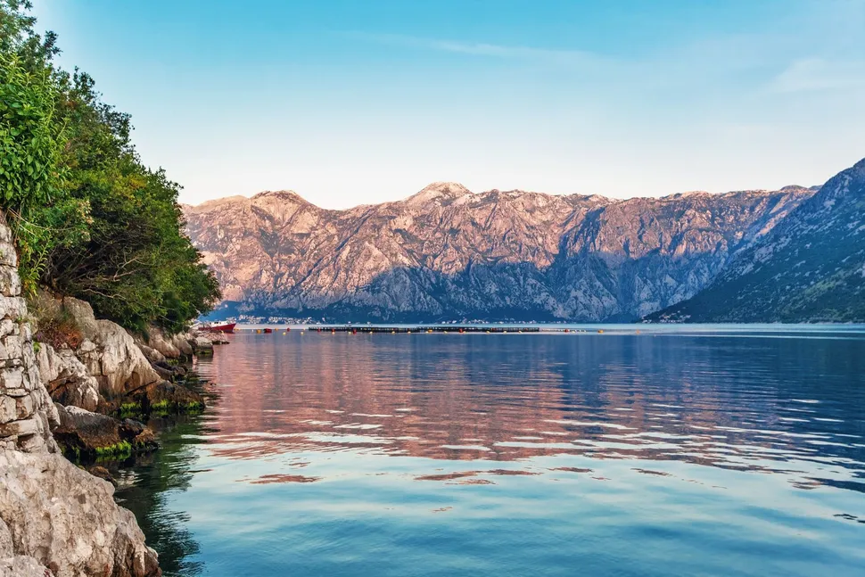 Tug of War - The Push and Pull of Cancer image