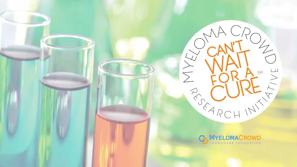 MCRI Update: CAR T Cell Research, University of Würzburg image