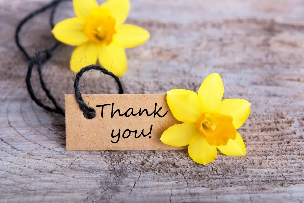 MCRI Donor Thank You Gifts and Personal Donation Page Prizes image
