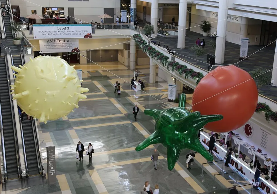 Patient-Driven Myeloma Crowd Research Initiative Funds "Extraordinary" CAR T Cell Research image