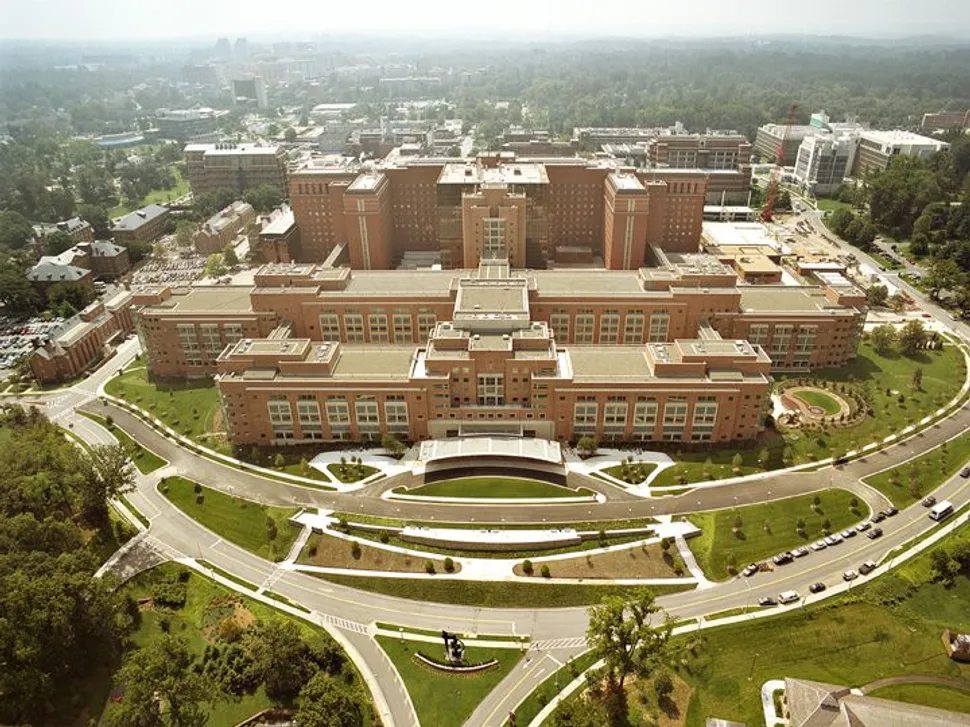 NIH Gets $2 Billion Increase: A Time to Celebrate? Or for Resolve? image