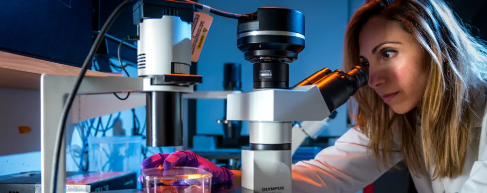 Preventing Multiple Myeloma From Progressing: The Dana-Farber Study for Precursor Blood Cancers image