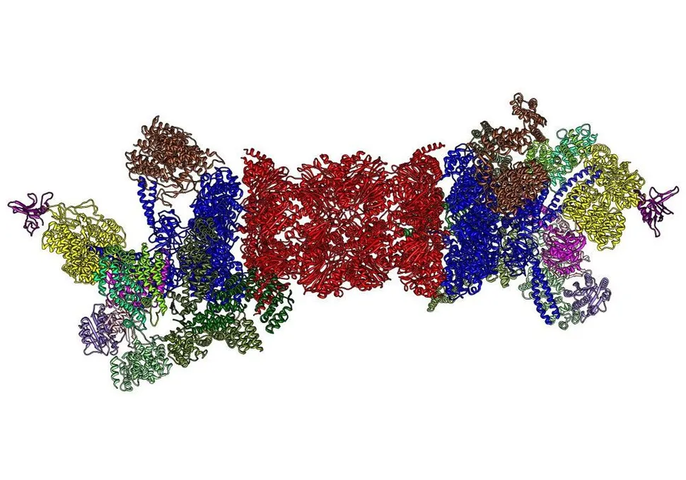 Proteasome Inhibitors: Still a Powerful Weapon Against Myeloma image