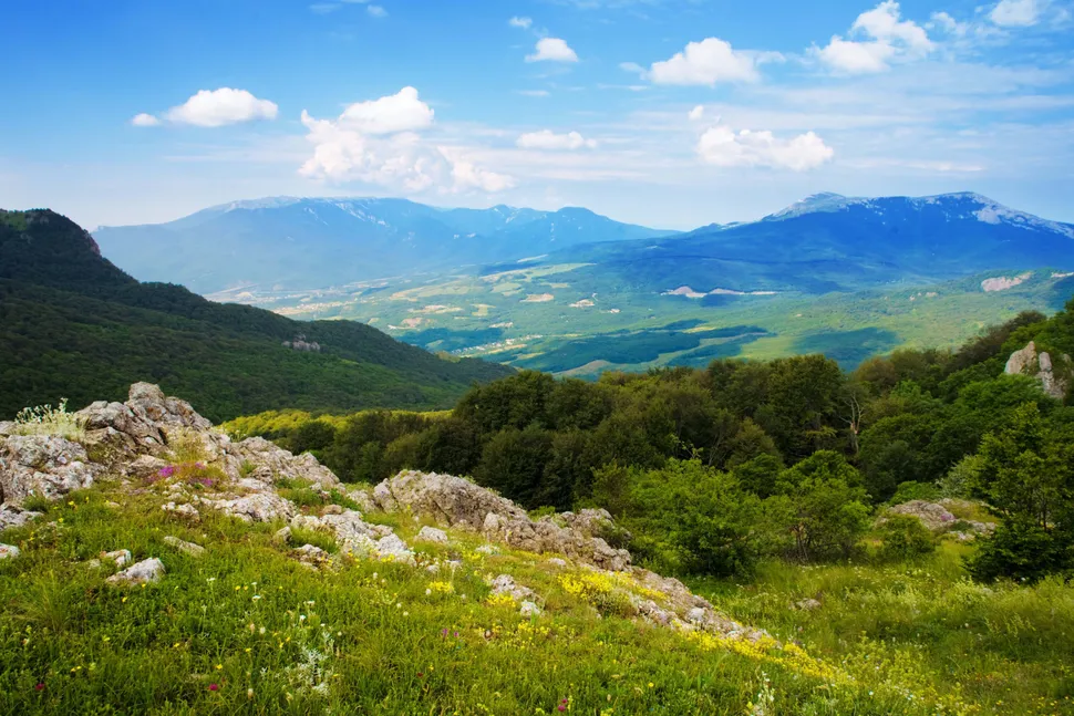 Confronting Our Mortality May Actually Make Us Happier image