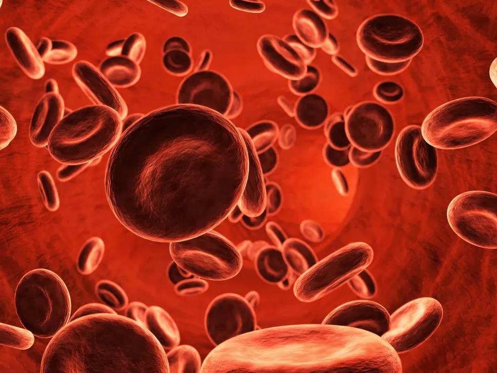 September is Blood Cancer Awareness Month: Sharing Means Longer Life image