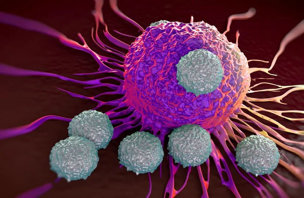 CAR T Cells Keep Rolling Closer to the Clinic image