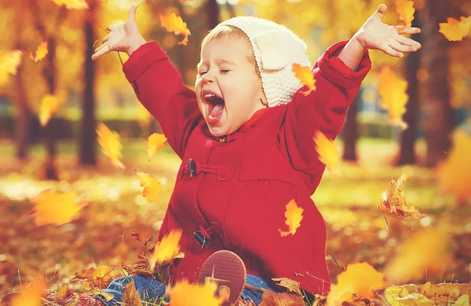 MCRI Supporters: We're So Excited and Thankful That YOU are Accelerating Myeloma Immunotherapy Research! image