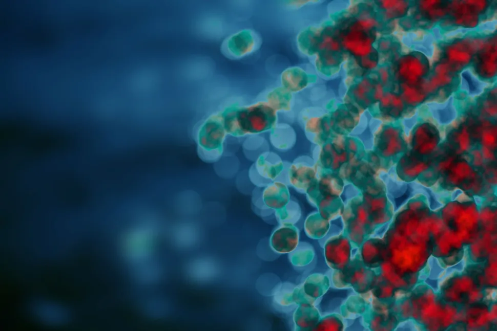 Checkpoint Inhibitor Side Effects and What We Can Learn From Allo Transplant image