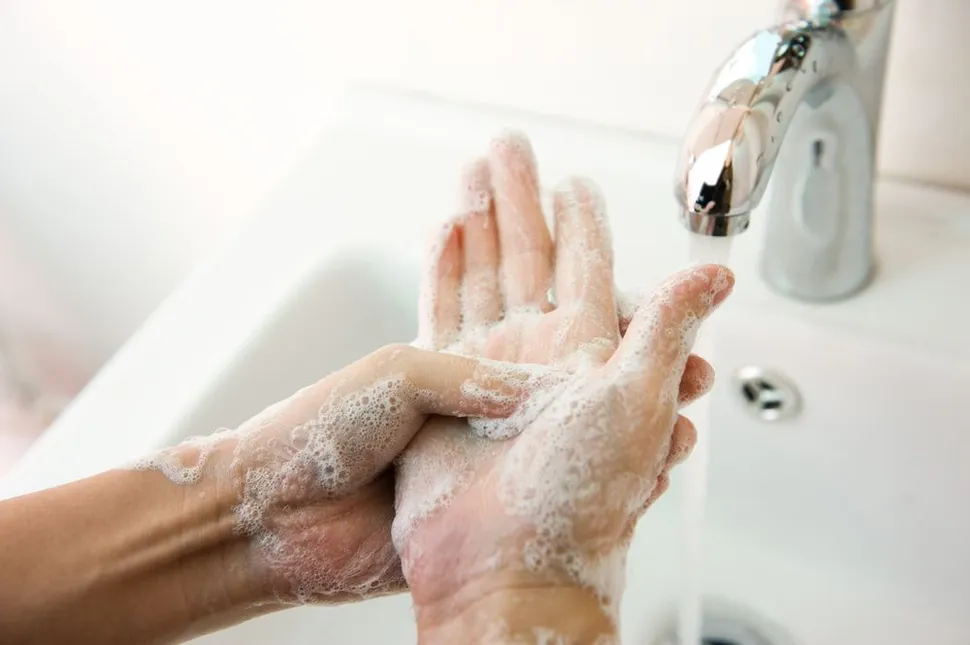 How to Prevent Infections After Bone Marrow Transplant? image