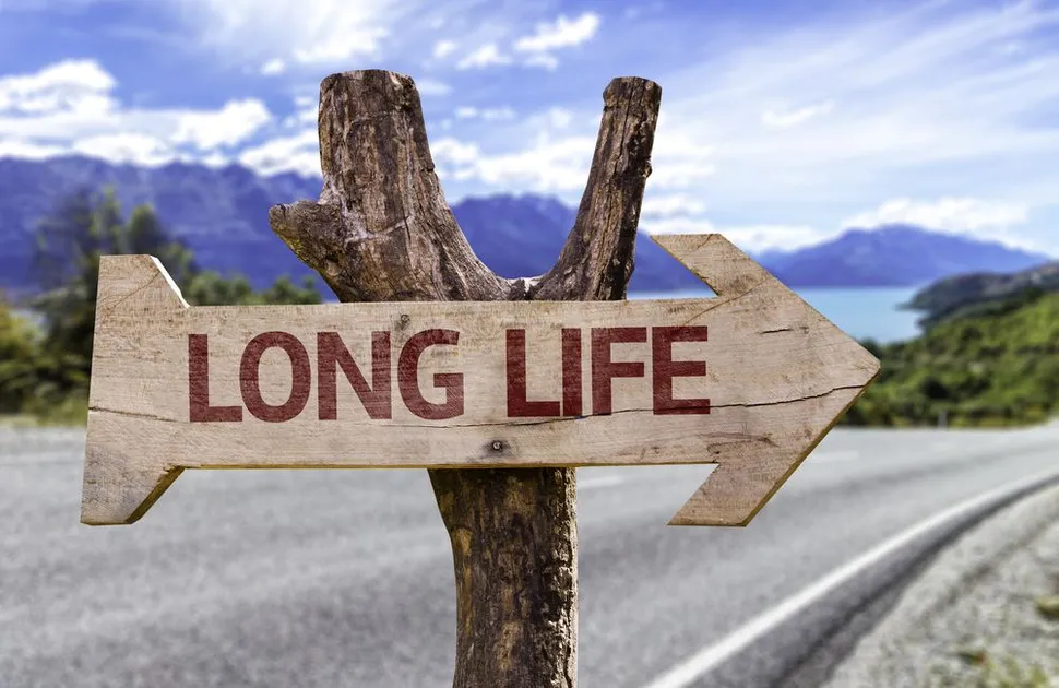 Multiple Myeloma 2017 Update - Why Do People Beat the Average Myeloma Life Expectancy Prognosis? Or How To Improve Your Multiple Myeloma Survival Rate! image